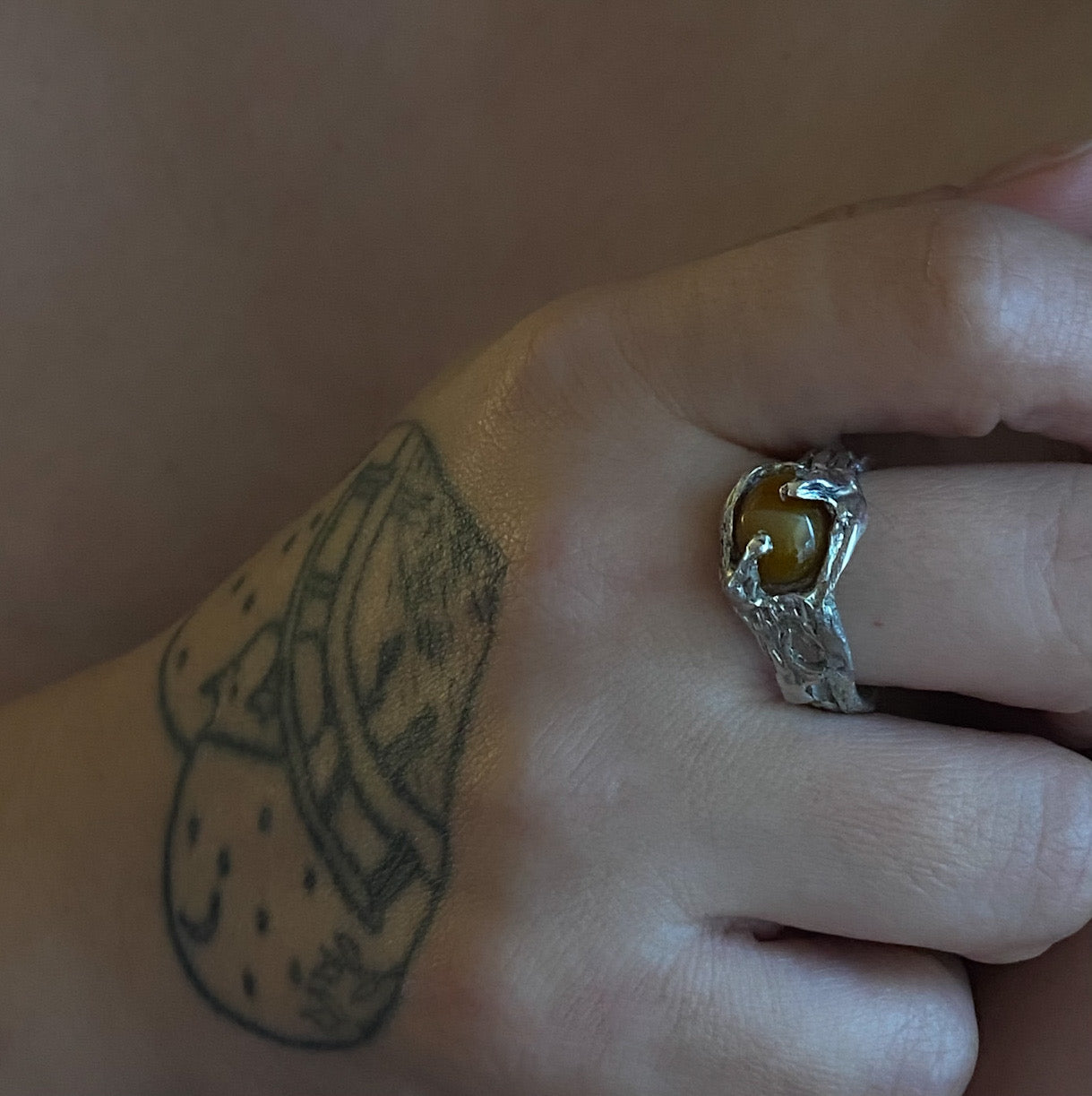 Zamia ring
