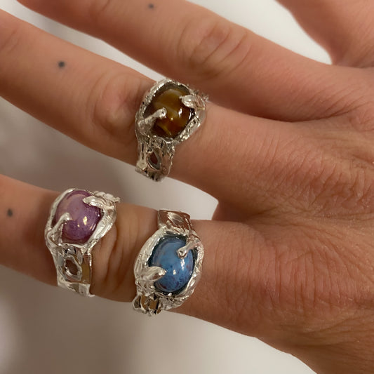 Zamia ring